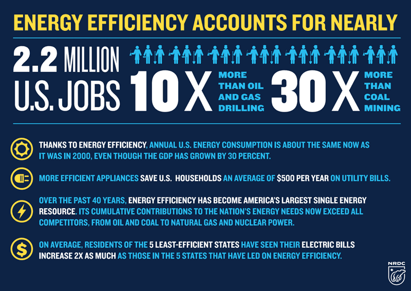 Energy-Efficiency-Infographic