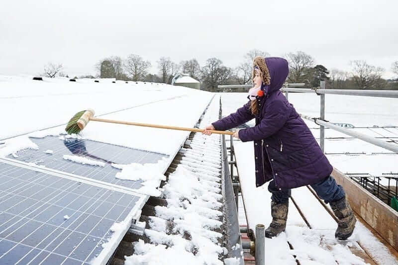 Girl cleaning snow off panels