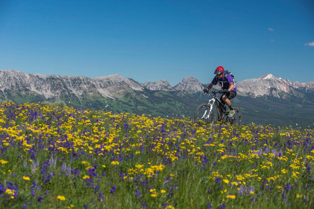 Mountain Biker in Bozeman MT
