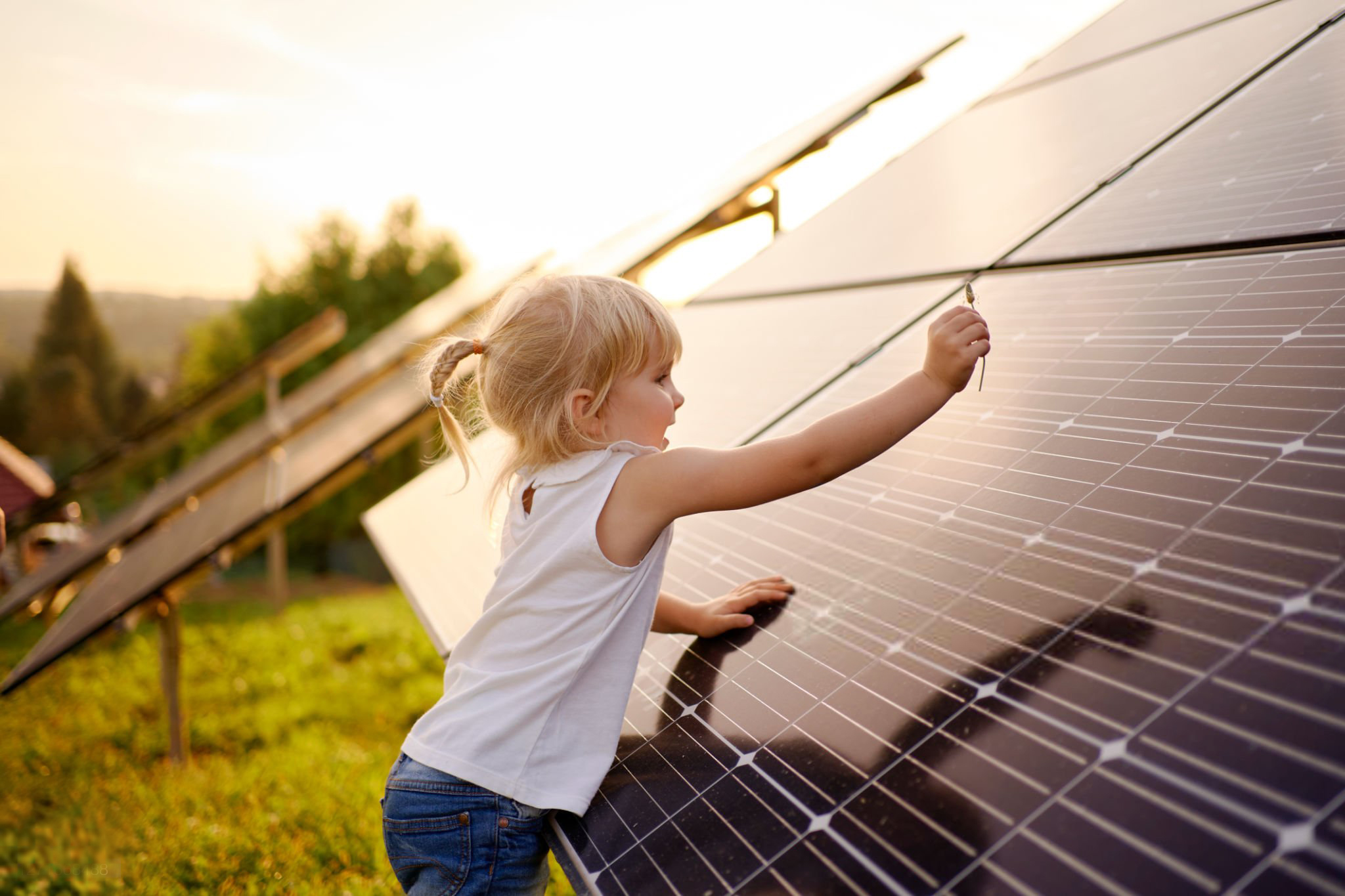 Portrait of young girl playing with grass and touching solar panel on sunset.